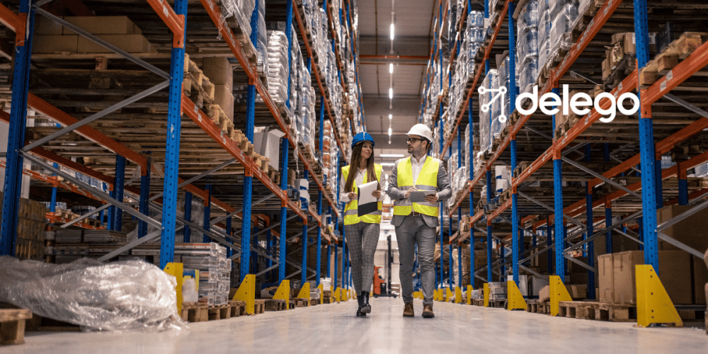Optimización de la Distribución y Logística con Delego